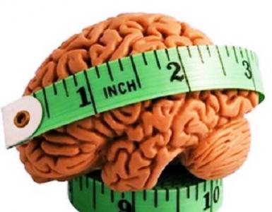 Сколько весит мозг человека Вес мозга человека в настоящее время